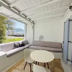 Mimoza Collection Of *