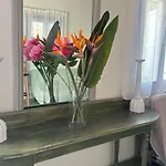Tatil Evi Mimoza Collection Of Mykonos Town