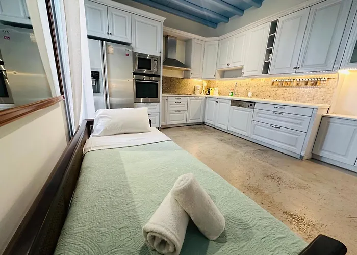 Mimoza Collection Of Holiday home Mykonos Town